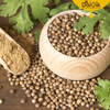DANIA/CORIANDER/VARA KOTHUMALLI