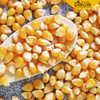 DAIVIK Organic, Pop Corn Kernels