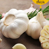 COUNTRY GARLIC/NAATTU POONDU