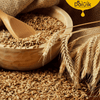 WHOLE WHEAT-LOKWAN/GODHUMAI