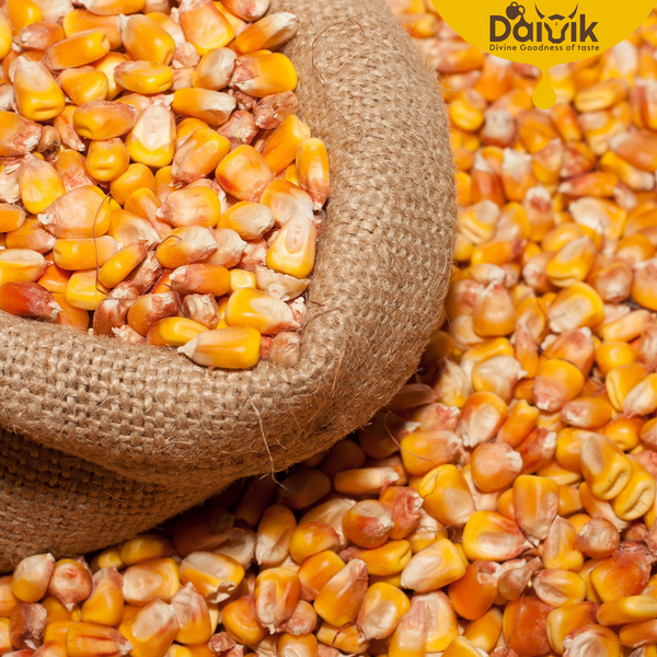 MAIZE/MAKKA CHOLAM