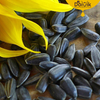 Organic Sunflower Seeds