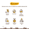 Organic Barley Flour