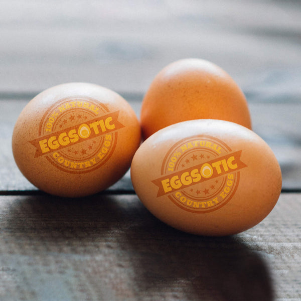 ORGANIC ORIGINAL COUNRTY CHICKEN EGGS - DAIVIK ORGANIC